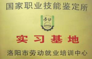 实习基地