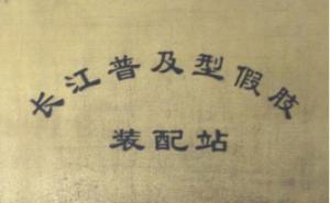 长江普转配站